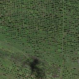 Satellite imagery of TT5/XXIV/, RO