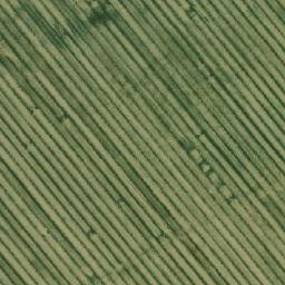 Satellite imagery of TT1, RO