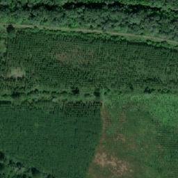 Satellite imagery of TT6, RO