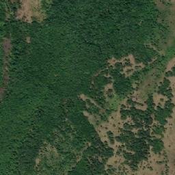 Satellite imagery of TT29, RO