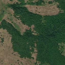 Satellite imagery of TT29, RO