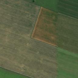 Satellite imagery of TT56, RO