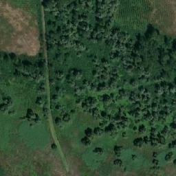 Satellite imagery of TT6, RO