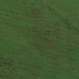 Satellite imagery of TT53, RO