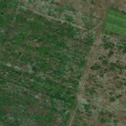 Satellite imagery of TT3111, RO