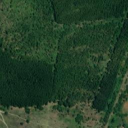 Satellite imagery of TT27/XLVII/, RO