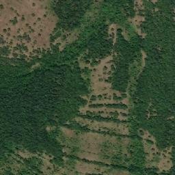 Satellite imagery of TT29, RO