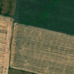 Satellite imagery of TT1/VII/, RO