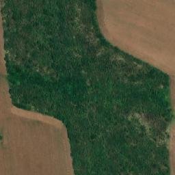 Satellite imagery of TT44, RO