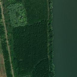 Satellite imagery of TT3/XXXI/, RO