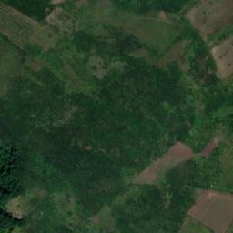 Satellite imagery of Toponička Kosa, RS