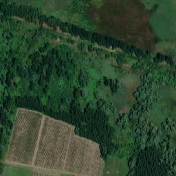 Satellite imagery of TT12/VII/, RO