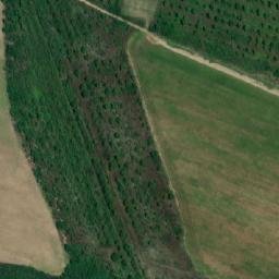 Satellite imagery of TT59, RO
