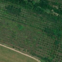Satellite imagery of TT59, RO