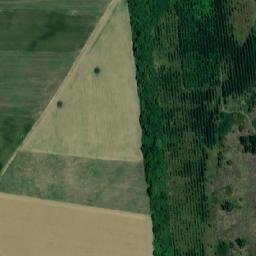 Satellite imagery of TT37, RO