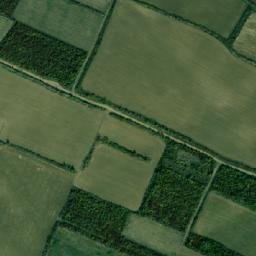 Satellite imagery of TT39, RO