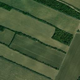Satellite imagery of TT39, RO