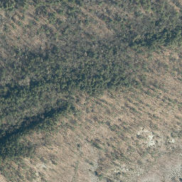 Satellite imagery of Deer Leap, US