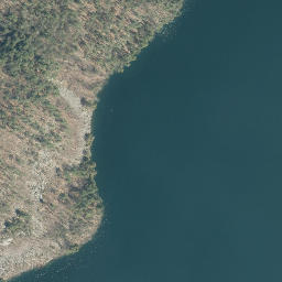 Satellite imagery of Deer Leap, US