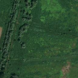 Satellite imagery of TT54, RO
