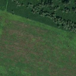 Satellite imagery of TT1/55/, RO
