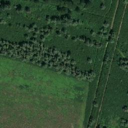 Satellite imagery of TT1/55/, RO