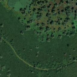 Satellite imagery of TT1/55/, RO