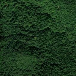 Satellite imagery of Mala Orlica, BA