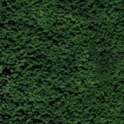 Satellite imagery of Butila, BA