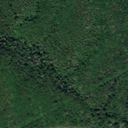 Satellite imagery of Srednja Kosa, RS