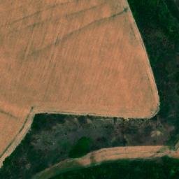 Satellite imagery of TT29, RO