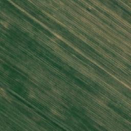 Satellite imagery of TT42, RO