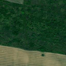 Satellite imagery of TT2/XXVI/, RO