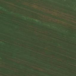 Satellite imagery of TT40/II/, RO