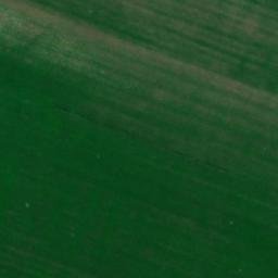 Satellite imagery of TT29, RO