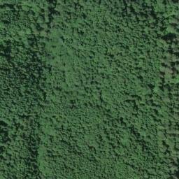 Satellite imagery of Allen Ridge, US