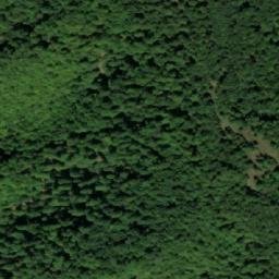 Satellite imagery of Bogdani, BA