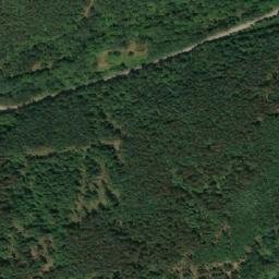 Satellite imagery of TT61, RO