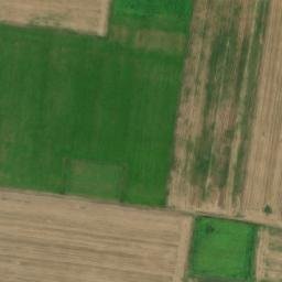 Satellite imagery of TT56, RO