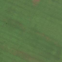 Satellite imagery of TT3/XIV/, RO