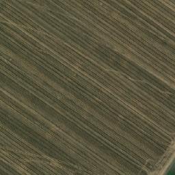 Satellite imagery of TT49, RO