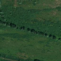 Satellite imagery of TT59, RO