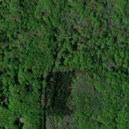 Satellite imagery of Little Sable Point, US