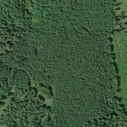 Satellite imagery of Allen Ridge, US