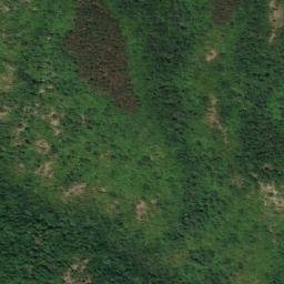 Satellite imagery of Izvoznik, RS