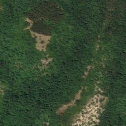 Satellite imagery of Izvoznik, RS