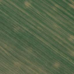 Satellite imagery of TT10/XXII/, RO