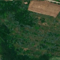 Satellite imagery of TT54, RO