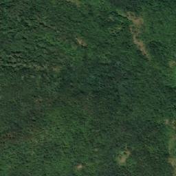 Satellite imagery of Radičevska Potoka, RS