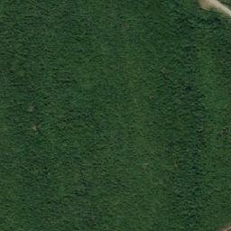 Satellite imagery of TT59A, RO